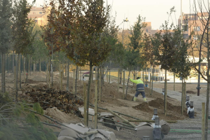 Plantación de árboles en el bosque urbano de Balàfia