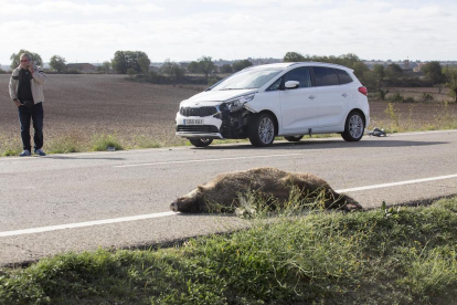 Accident d’un motorista a Camarasa i xoc amb un senglar a Tarroja