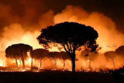 Més de 2.000 desallotjats en l’incendi de Huelva, que ha entrat a Doñana