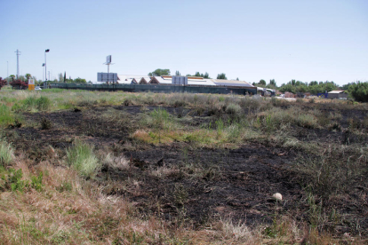 Imagen de los restos del fuego ayer por la mañana en la empresa situada en la partida Grealó de Lleida.  