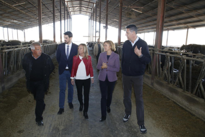Dirigents del PP durant la visita a la granja de vaques, amb el titular Mingo Serret, a l’esquerra.