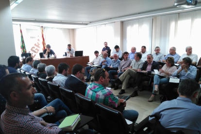 El consell d’alcaldes del Segrià celebrat ahir.