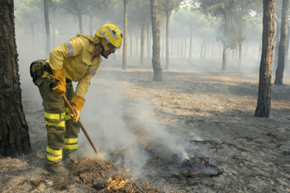 Bomberos trabajan en el incendio declarado en el término municipal de Moguer.
