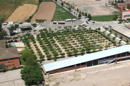 Vista aérea del camping municipal de Tàrrega, con una superficie de 135.000 metros cuadrados. 