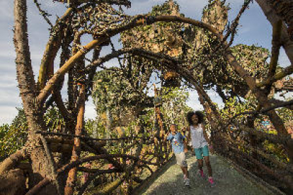Pandora, el parc que recrea el món d’Avatar, obre les seues portes