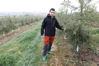 El Garrigues Sud ya tiene 200 Ha en el banco de tierras cultivadas por jóvenes agricultores 