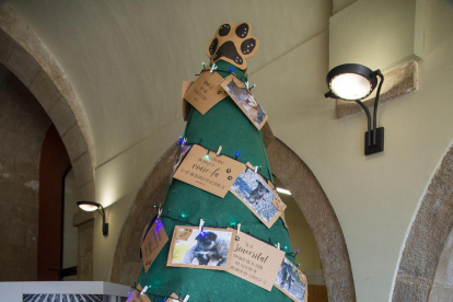 El árbol de Navidad del consell anima a adoptar perros sin hogar. 
