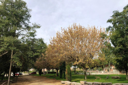 El parque de l’Ermita de Ivars d’Urgell. 
