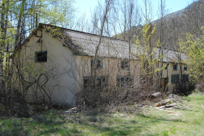 Dos dels edificis, deteriorats i ocults per la vegetació.