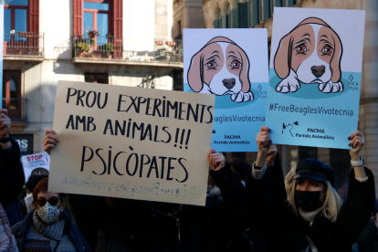 Persones a Barcelona protestant contra el sacrifici d'animals.