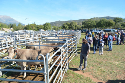 Los visitantes pudieron ver ejemplares de distintas razas bovinas expuestas por las explotaciones. 