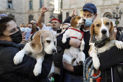 La protesta animalista de ayer en la plaza Sant Jaume.