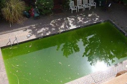 Como solucionar el agua verde de la piscina