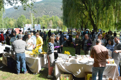 El mercado de productores del Pirineo ayer en Sort. 