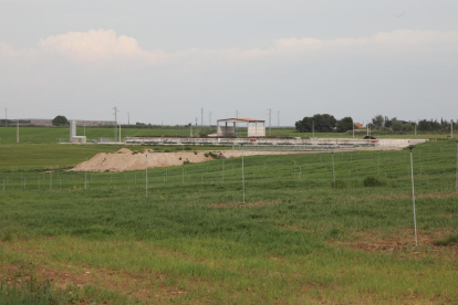 Terrenos de Alcarràs donde está previsto el polígono y la planta de compostaje al fondo.