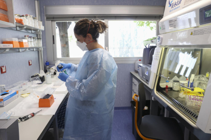 España se suma a la petición de ciencia abierta para el virus causante de la viruela del mono
