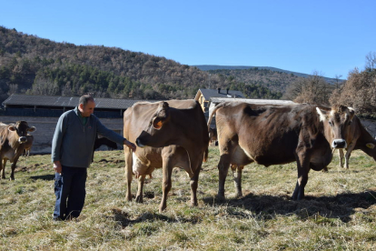 Lleida es una verdadera potencia en la producción de aves, con un millar de granjas de gallinas y pollos.