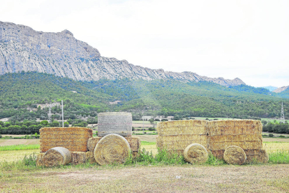 Oliana luce un tractor de paja que rinde homenaje a la agricultura