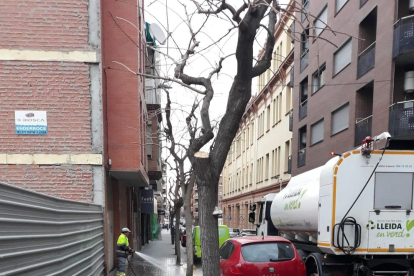 Una de les actuacions de neteja especial de carrers de la Paeria.