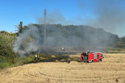 Fuegos en Tàrrega, Sudanell y Lleida  -  Los Bomberos trabajaron ayer en la extinción de pequeños fuegos de vegetación. En Tàrrega (foto), se declaró junto a las vía del tren. Ardieron unos 500 metros en la AP-2 en Sudanell y en Lleida, hubo ...