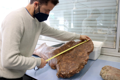 Recreación gráfica del ‘Abditosaurus kuehnei’, cuyos restos se excavaron en Orcau, en el Pallars Jussà.