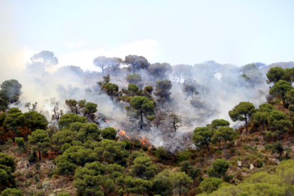 Estabilitzat l'incendi de Castell d'Aro, que ha afectat unes 70 hectàrees