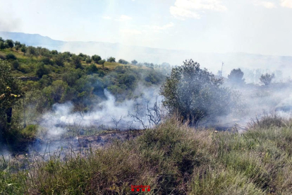 El incendio forestal de Seròs ya está controlado y ha quemado unas 46,5 hectáreas de bosque de ribera