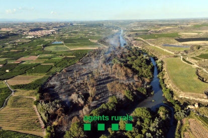 El incendio forestal de Seròs ya está controlado y ha quemado unas 46,5 hectáreas de bosque de ribera