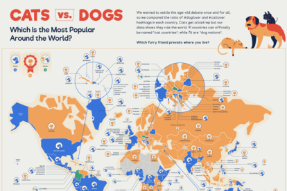 Mapa que mostra les preferències pel que es refereix a animals de companyia.