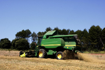 La guerra a Ucraïna ha disparat el preu dels cereals fins a nivells desconeguts.