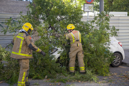 Bomberos retirando un árbol que cayó sobre un coche en la calle Esperança González.