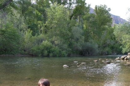 Eva Antas nos envió una foto de su hijo, Guim, bañándose en el río Segre a su paso por Camarasa.