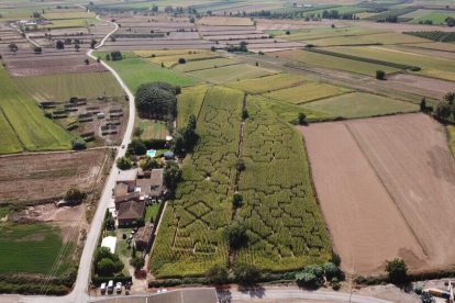 Vista aèria del recorregut del Laberint de blat de moro de Castellserà a l'Urgell.
