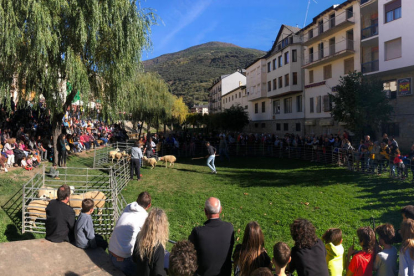 El públic congregat ahir al Parc del Riuet durant la mostra d’ovella xisqueta.