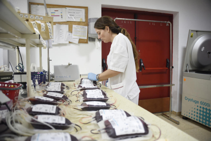 Fotografía de archivo que muestra a una empleada etiquetando bolsas de sangre.