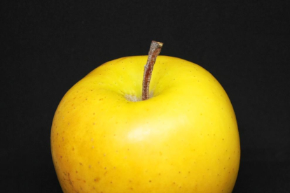 Una manzana