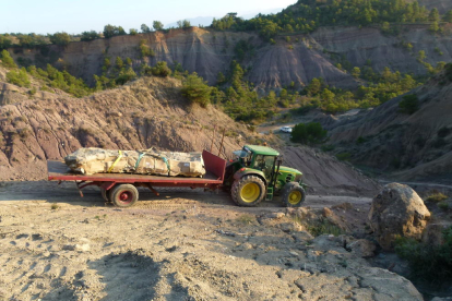 Un repte. Va haver d'obrir-se un camí per poder arribar al lloc amb una retroexcavadora i perquè un tractor pogués carregar el fòssil.