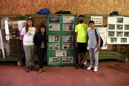 Un grupo escolar muestra su proyecto de Escola Verda al encuentro de Escoles Verdes que se ha hecho en Preixana
