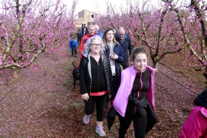 Los asistentes a la ruta guiada por los árboles en flor y escenarios de la película 'Alcarràs' andando|caminando por una finca de fruteros en Massalcoreig