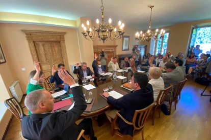 El Conselh Geerau d'Aran ha aprovat per unanimitat la declaració institucional que 