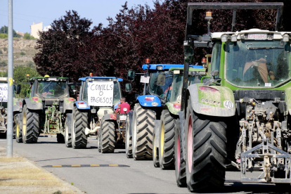 Filera de tractors a la marxa lenta que han fet al seu pas per Tàrrega per denunciar les plagues de conills