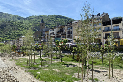 Dos de los árboles destrozados en este espacio emblemático de la capital del Pallars Sobirà. 