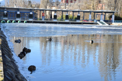 El Parc del Segre en La Seu d'Urgell con gran parte del agua del complejo completamente helada
