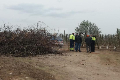 Agents dels Mossos d'Esquadra, al lloc on s'ha produït l'accident mortal de caça.