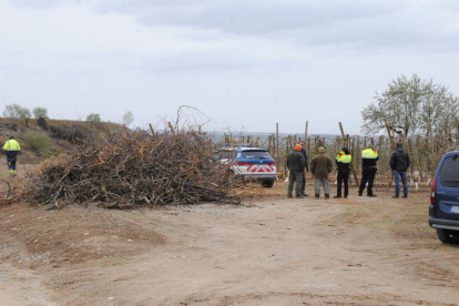 Mossos ayer en la zona de frutales de Torregrossa en la que falleció el cazador.