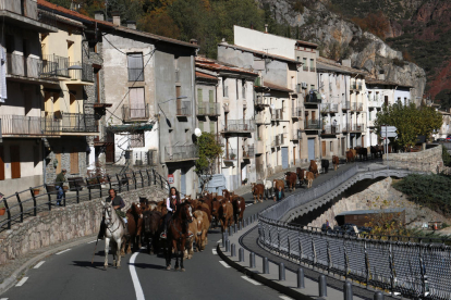 Més de 200 cavalls creuen el Pallars Sobirà en transhumància
