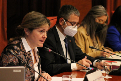 La síndica d'Aran, Maria Vergés, durant la seva compareixença a la Comissió d'Afers Institucionals del Parlament per parlar de la situació de l'Aran i el seu autogovern.