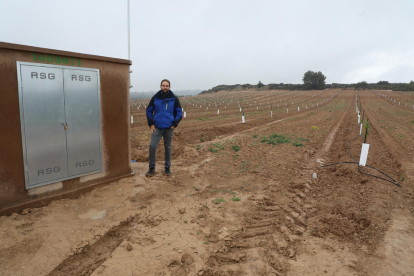 Pol Gort, en la finca plantada con almendros que recibe ya agua del pantano de L’Albagés.