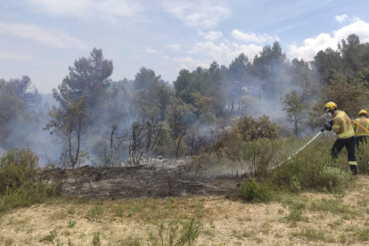 El foc de l’Albi va calcinar unes dos hectàrees.