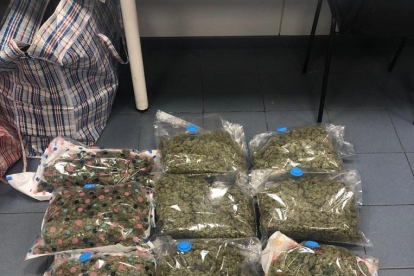 Vista de la marihuana interceptada en el vehículo del detenido. 